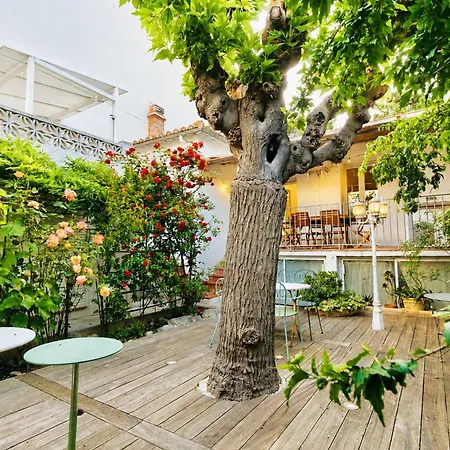 D'exception Vue Mer, Clim - 8 Pers. - Fr-1-388-256 Argeles-sur-Mer